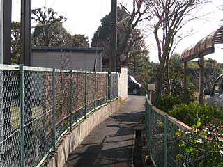 この小さい路地の先に増田神社がある