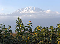 キリマンジャロ山